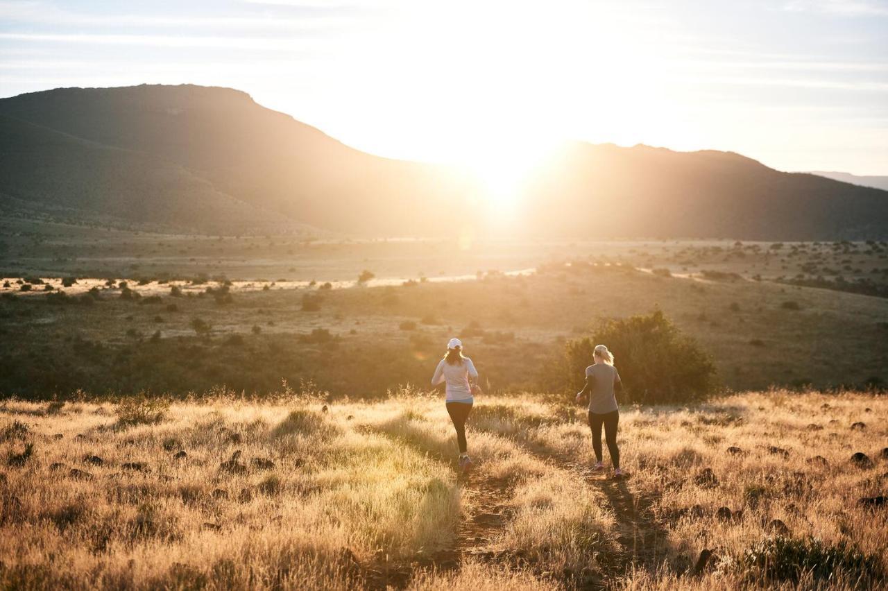 Glen Harry Game Reserve Graaff Reinet Bagian luar foto