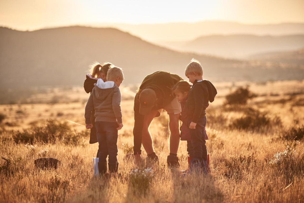 Glen Harry Game Reserve Graaff Reinet Bagian luar foto